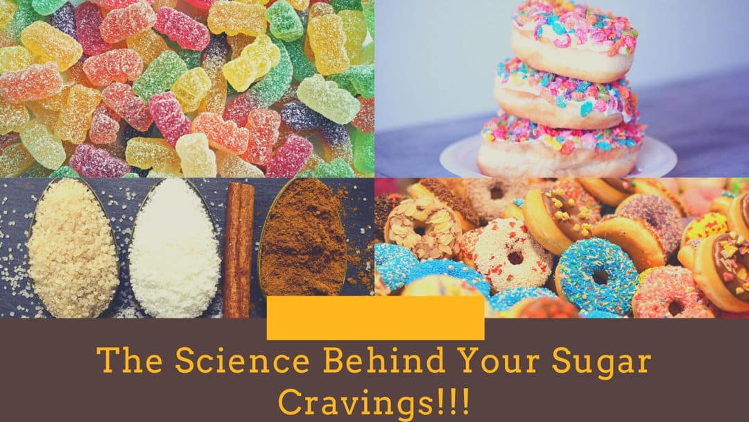 The Science Behind Your Sugar Cravings!!!
