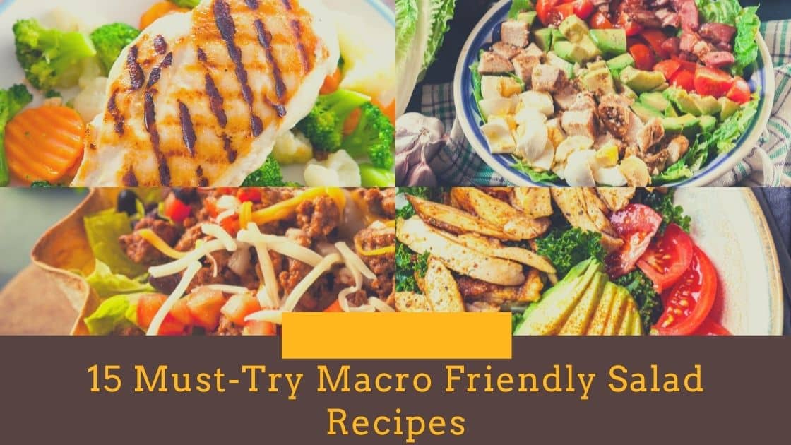 Top 15 Must-Try Macro Friendly Salad Recipes