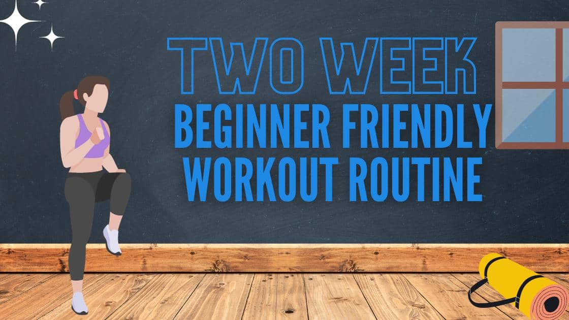 two week beginner friendly workout routine