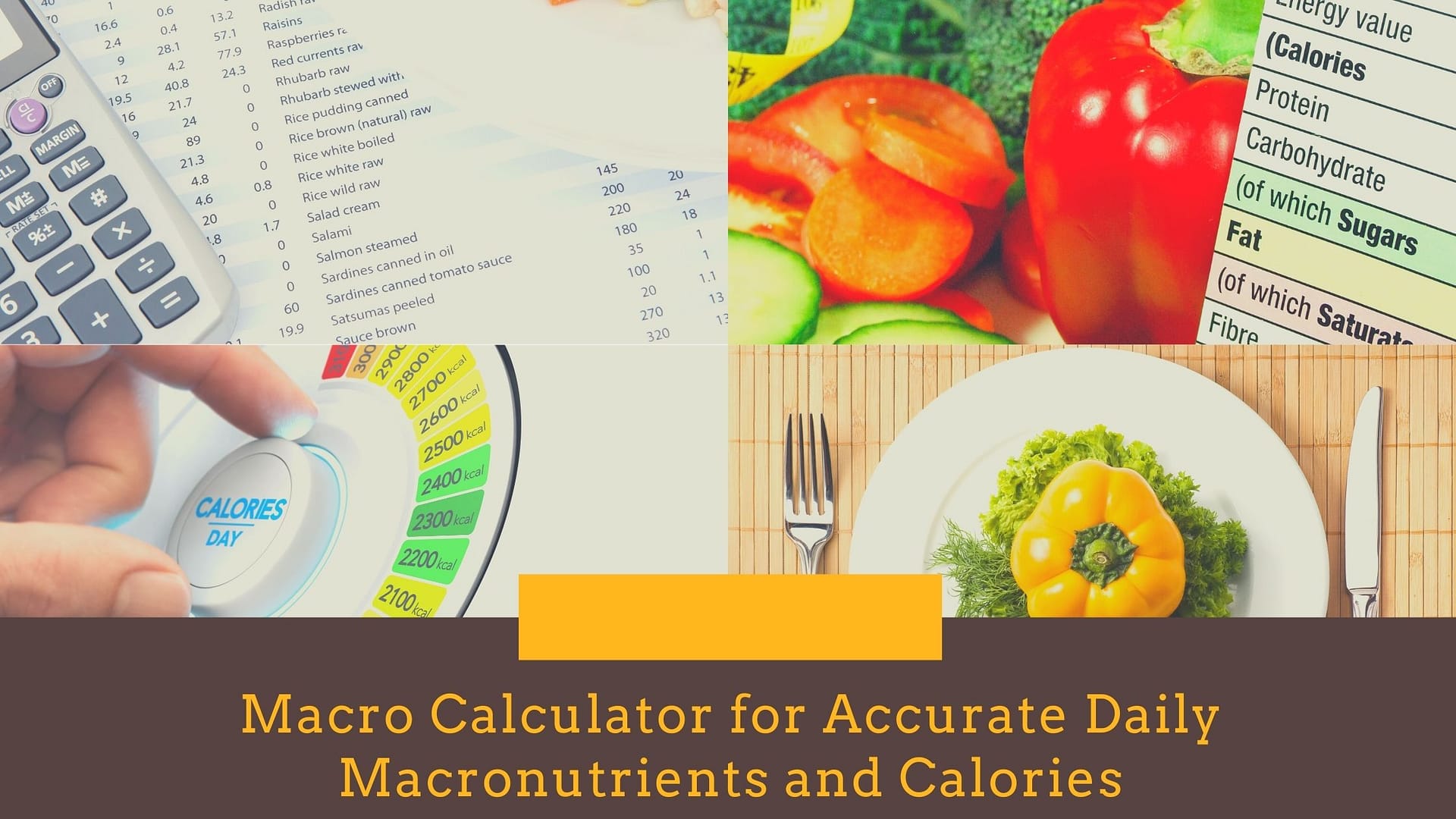 Macro Calculator for Accurate Daily Macronutrients and Calories