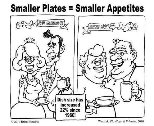 small plate calorie control