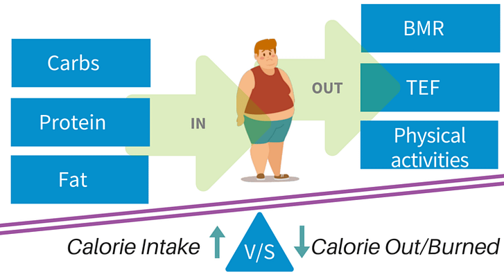 calorie surplus