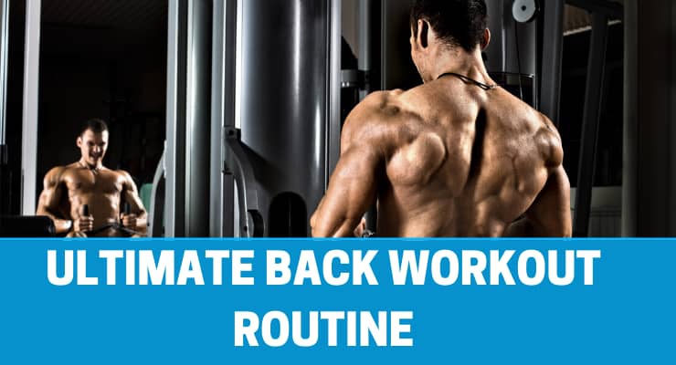ultimate back workout routine
